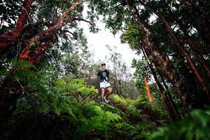 BIB: 
                            <button type="button" onclick="openModal(26203113)" class="btn btn-primary btn-sm float-right btn-popup" data-toggle="modal" data-target=".modal-high-quality">
                        <i class="fas fa-shopping-cart"></i> Add to Cart
                    </button>
                                            <button type="button" onclick="isThisMe(26203113, true)" class="btn btn-success btn-sm float-right btn-popup btn-isme hidden" data-toggle="tooltip" data-placement="bottom" title="นี่คือรูปของคุณใช่ไหม คลิกที่นี่เพื่อเอาเข้าอัลบั้ม">
                        <i class="fas fa-plus"></i> Add to album
                    </button>
                    <button type="button" onclick="isThisMe(26203113, false)" class="btn btn-warning btn-sm float-right btn-popup btn-isnotme hidden">
                        <i class="fas fa-ban"></i> Remove from album
                    </button>